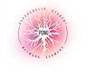 PSNG Logo
